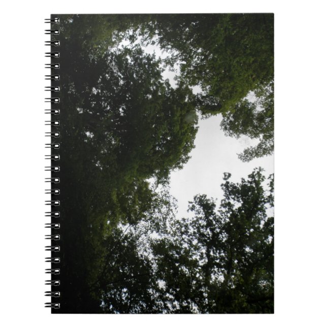 Carnet forestier déplaisant (Devant)