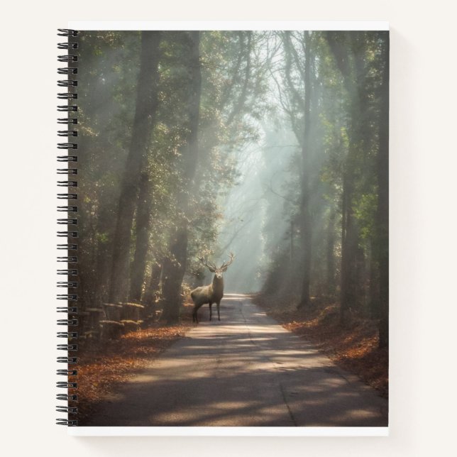 Carnet Forêt | Bois (Devant)