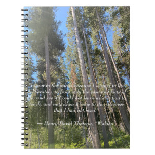 Carnet Forêt d'arbres Thoreau