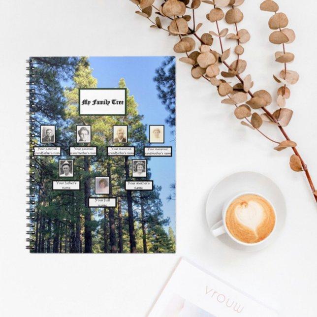 Carnet Forêt de pins Arbre de famille de trois génération (Créateur téléchargé)