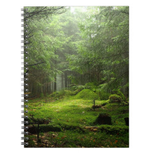 Carnet Forêt de Sterious