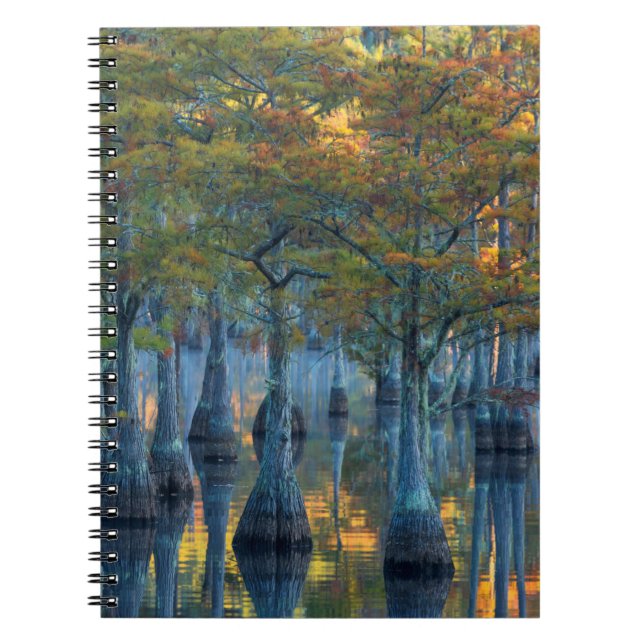 Carnet Forêt des Cyprès de Pond (Devant)