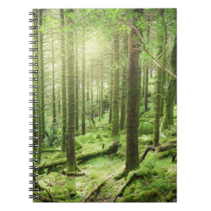 Carnet Forêt en parc national Kerry, Irlande de