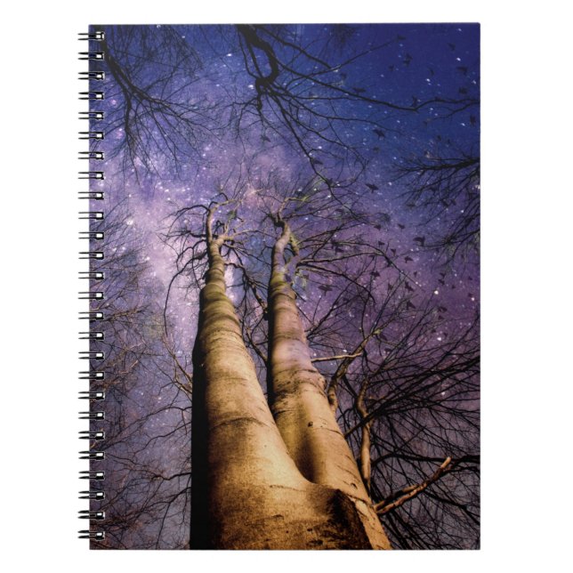 Carnet Forêt enchantée (Devant)