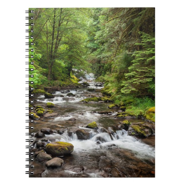 Carnet Forêt nationale de Siuslaw | Sweet Creek (Devant)