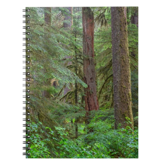 Carnet Forêt nationale de Willamette | Oregon (Devant)
