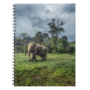 Carnet Forêt Parc national de Kao Sok