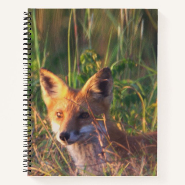 Carnet Fox (Devant)