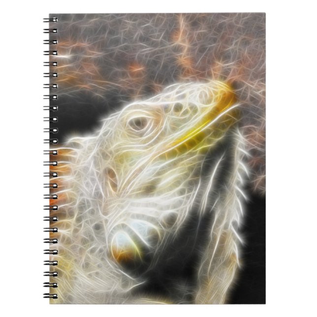 Carnet Fracguane (Devant)