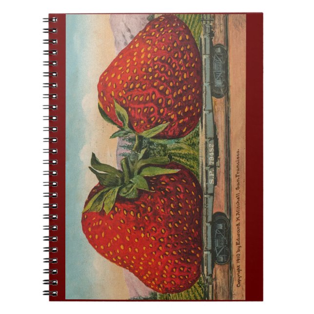 Carnet Fraises Giant Fruit Antique Fruit Amusant (Devant)