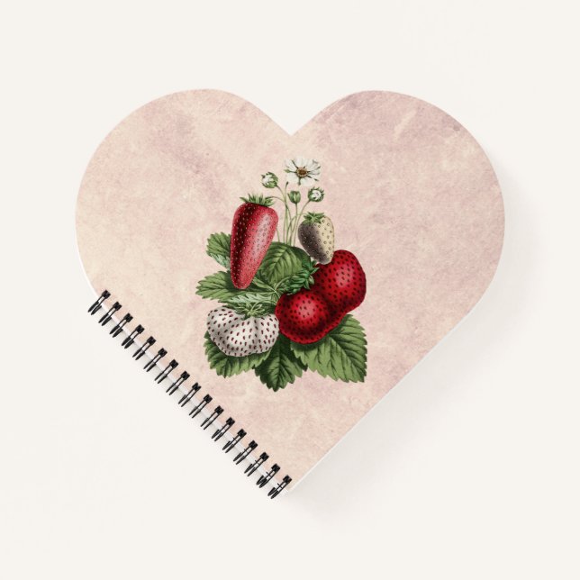 Carnet Fraises vintages (Devant)