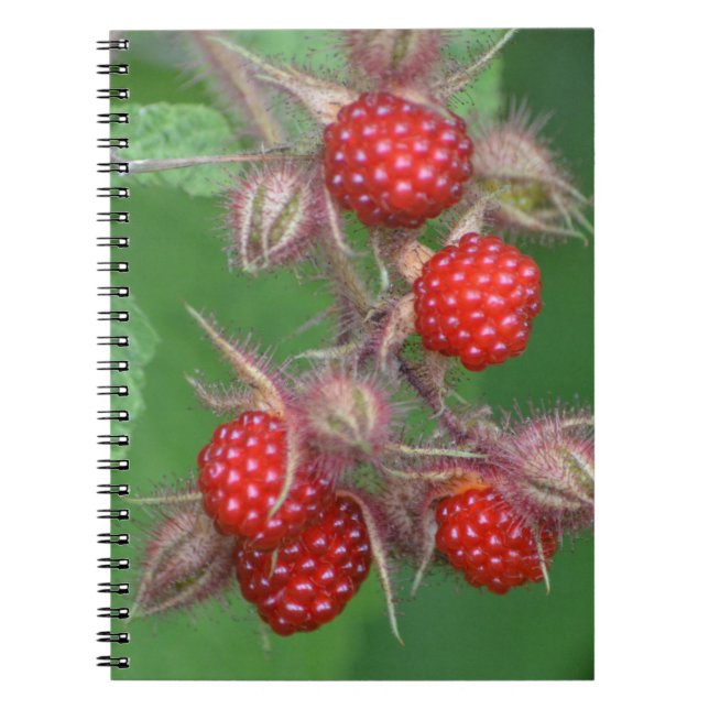 Carnet framboise (Devant)