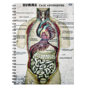 Carnet français vintage d'anatomie