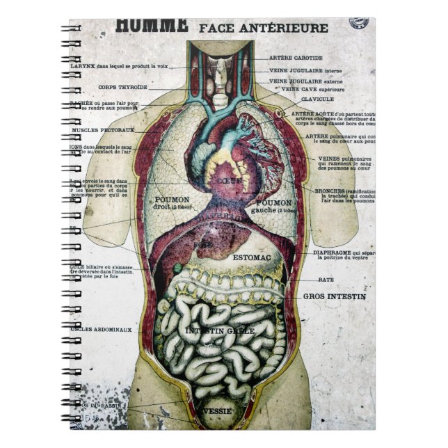 Carnet français vintage d'anatomie (Devant)
