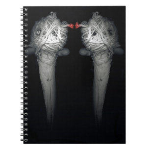 Carnet Frères 2013