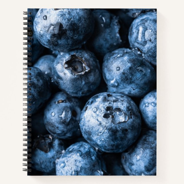 Carnet Fruit aux bleuets (Devant)