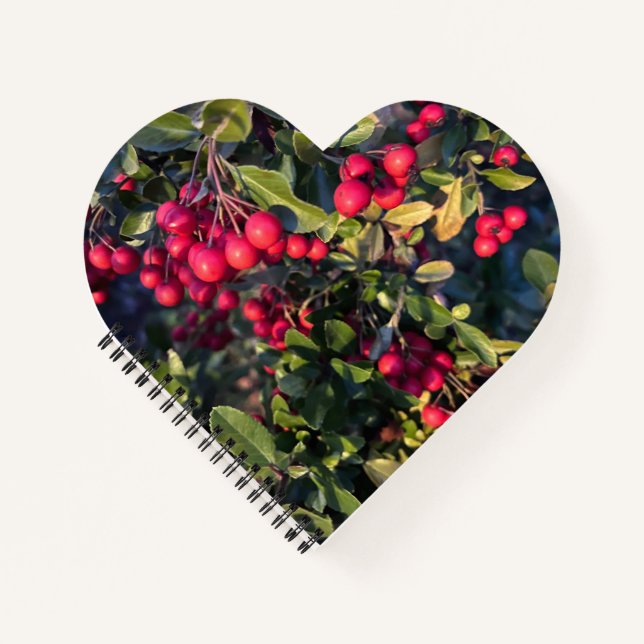 Carnet Fruit d'automne (Devant)