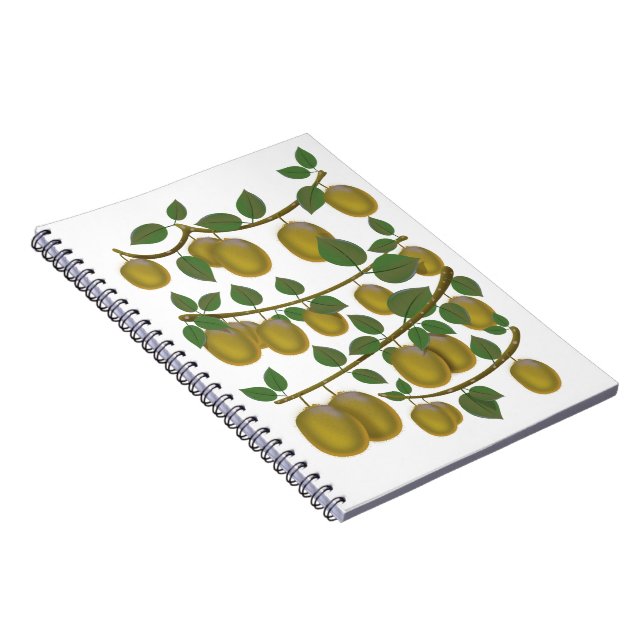 Carnet Fruit de kiwi (Côté Droit)