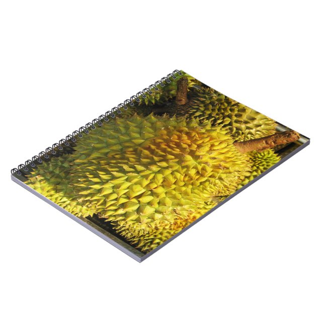 Carnet Fruit durian (Côté gauche)