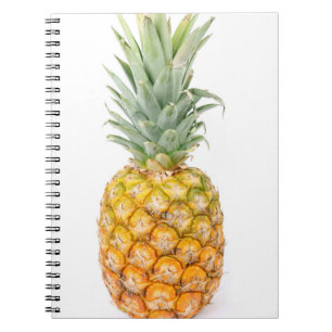 Carnet Fruits frais sain naturel