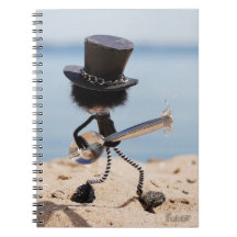 Fubby guitariste rock avec chapeau sur la plage.