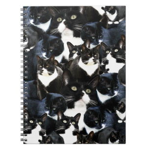 Carnet Fun Kitty Photo Collage Art
