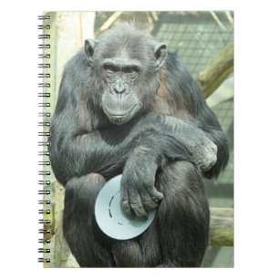CARNET FUNNY CHIMPANZEE