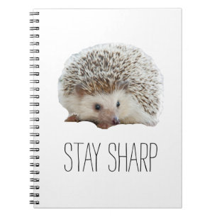 Carnet Funny mignon hérisson rester pointu citation hips