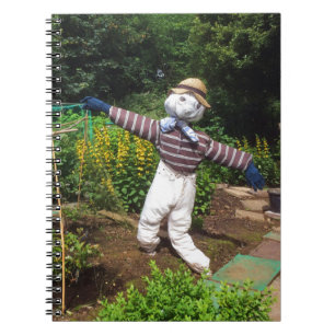 Carnet Funny scarecrov