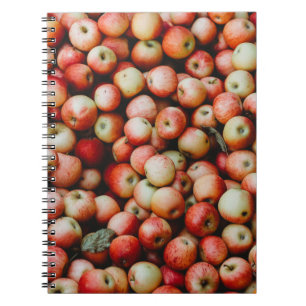 CARNET GALA POMMES