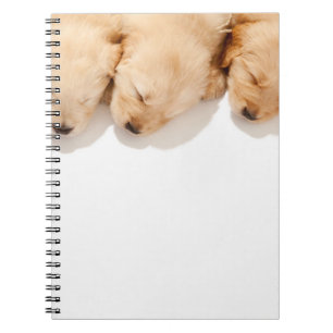 Carnet Gamme de Marionnettes dormantes