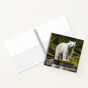 Carnet Garniture d'ours d'esprit