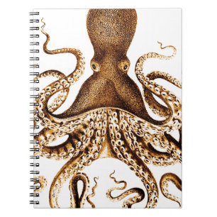 Carnet géant de calmar de mer