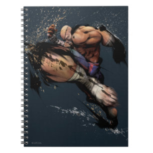 Carnet Genou de Sagat
