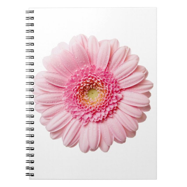 Carnet Gerbera Rose Daisy (Devant)