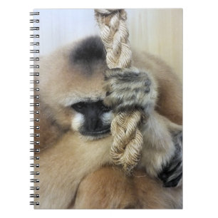 CARNET GIBBON