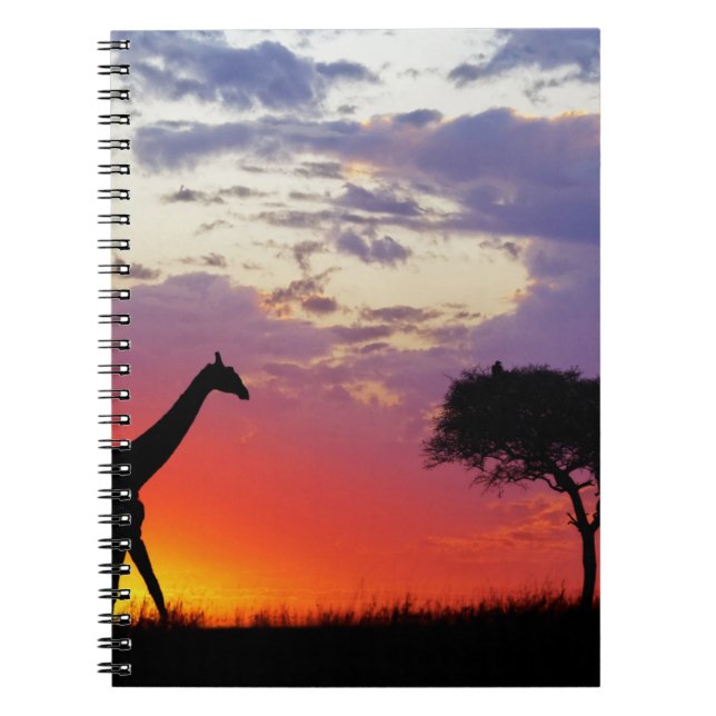 Carnet Girafe en silhouette au lever du soleil, Giraffa (Devant)