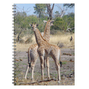 Carnet Giraffe Babies spirale carnet/journal