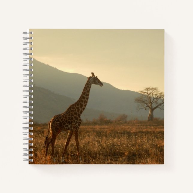 Carnet Giraffe dans la Savannah (Devant)