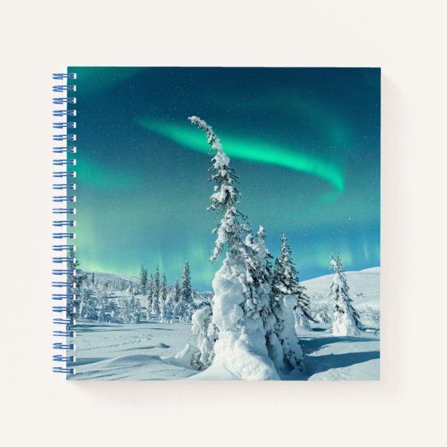 Carnet Glace et neige | Northern Lights, Laponie, Finland (Devant)