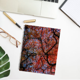 Carnet Gnarly Automne Japonais Branches de l'érable Photo