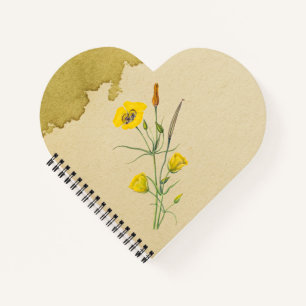Carnet Golden Bowl Mariposa Flower
