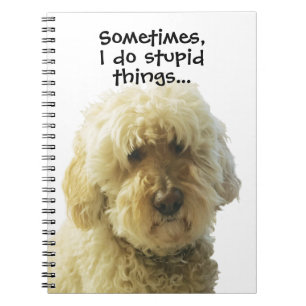 Carnet Golden Doodle Journal, joli Doodle moppy adorable