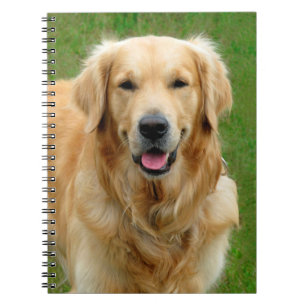 Carnet Golden retriever