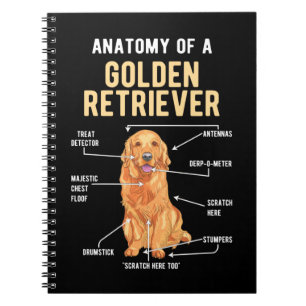 Carnet Golden Retriever Anatomie drôle chien