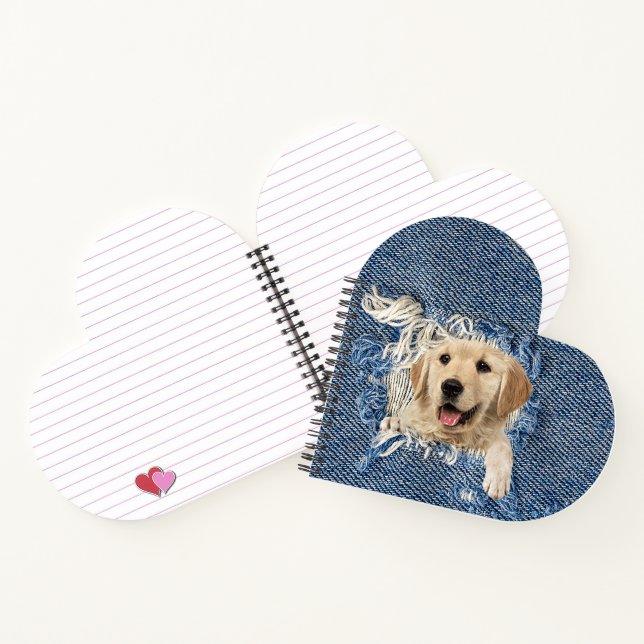 Carnet Golden Retriever en Blue Jean Hole (Intérieur)