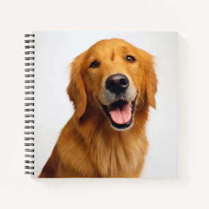 Carnet Golden Retriever Smile