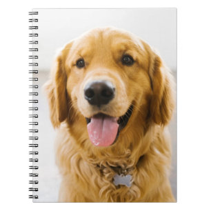 Carnet Golden Retriever Smiling