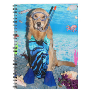 Carnet Golden retriever Snorkeler