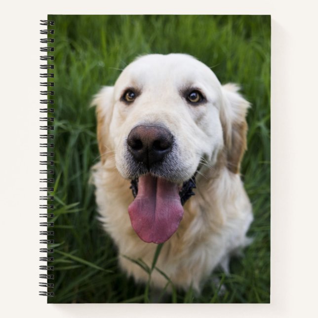 Carnet Golden Retriever souriant (Devant)